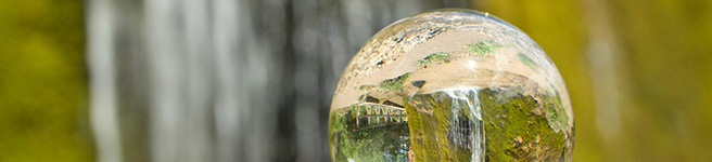 Environmental resilience a critical concern for major Asian cities