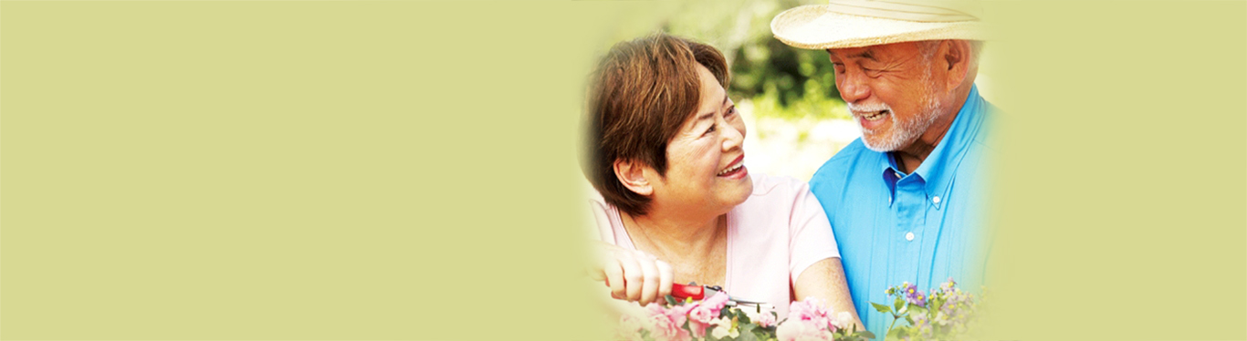 Asia Income Master Plus