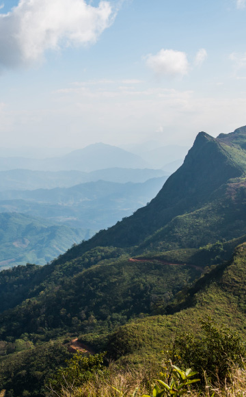 First slide