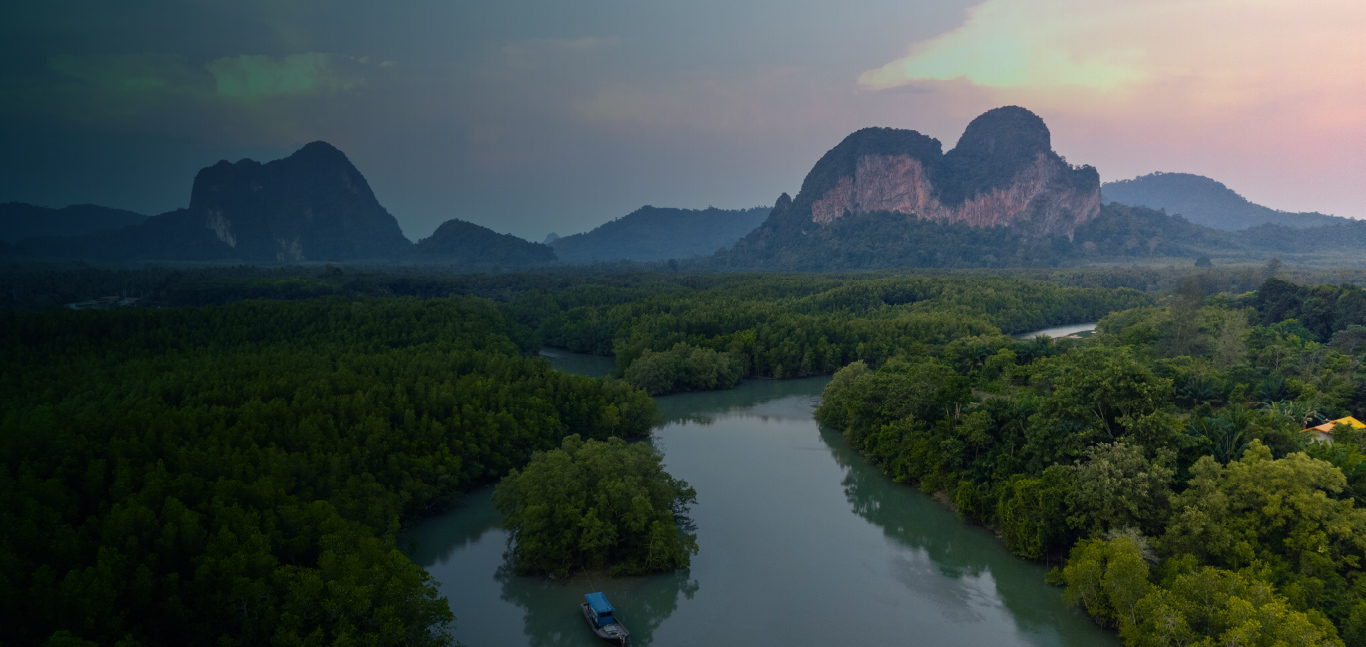 ประกาศ เปิดสำนักงาน สาขาตรังโตเกียวมารีนประกันชีวิต