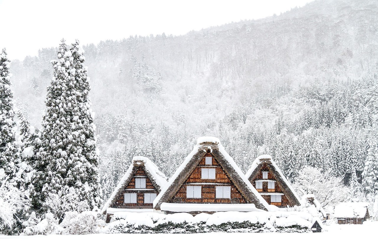 ชายสูงอายุใช้ไม้เท้าเก้าอี้พับได้ขณะเดินทาง